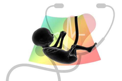 泰國試管嬰兒全景分析：技術(shù)、成功率與服務(wù)亮點(diǎn)