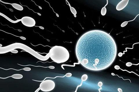 泰國試管嬰兒中國機構怎么樣？服務與費用深度解析