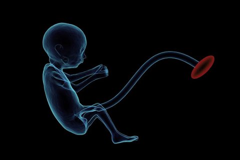 俄羅斯試管嬰兒要多少錢？俄羅斯試管嬰兒費用全解析