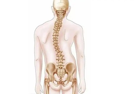 揭秘脊髓栓系遺傳概率與三代試管的預防力量