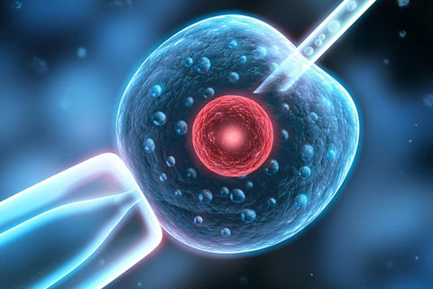 哈薩克斯坦做試管的經(jīng)歷有哪些？成功率與費(fèi)用的真實(shí)經(jīng)歷