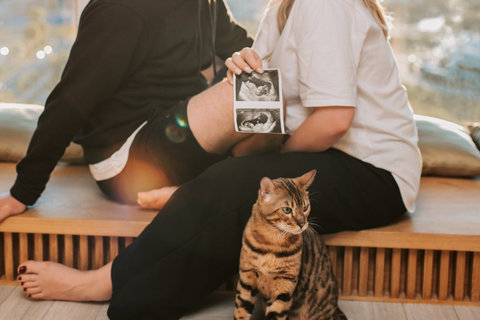 備孕了半年還沒懷上孩子怎么辦？專業建議助您好孕