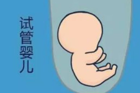 上海助孕機構(gòu)哪家最好？上海助孕機構(gòu)推薦