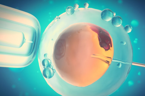 做試管沒有結(jié)婚證怎樣過關(guān)？法律邊界與解決方案