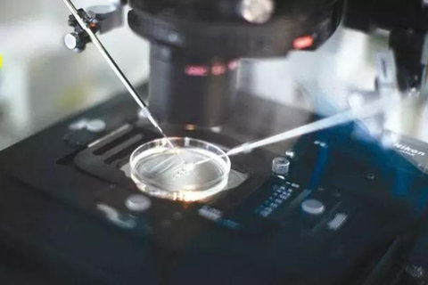 北京試管嬰兒成功率最高的醫(yī)院是哪家？成功率領(lǐng)跑者