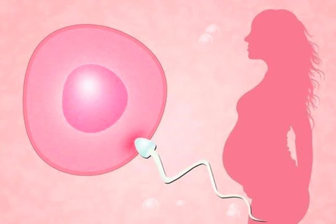 宮頸下垂手術(shù)費一般是多少錢？經(jīng)濟考量與健康選擇