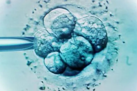 武漢試管排名第一私立醫(yī)院排名揭曉！2025年領(lǐng)先者