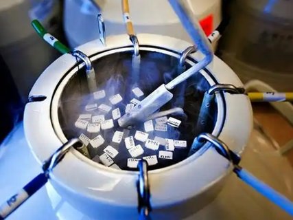胚胎冷凍費(fèi)用怎么算的？費(fèi)用計(jì)算與影響因素