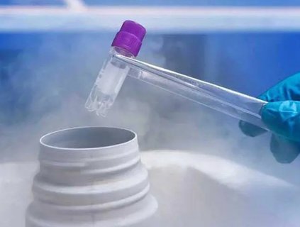 試管嬰兒技術(shù)有什么區(qū)別？一代二代三代試管區(qū)別及價(jià)格