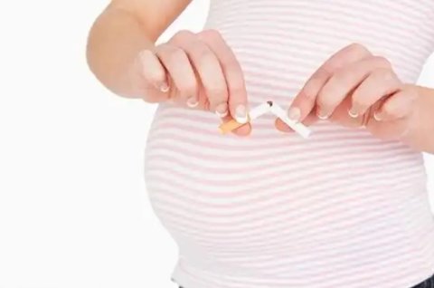 老公沒戒煙懷孕了能要嗎？未戒煙懷孕的影響