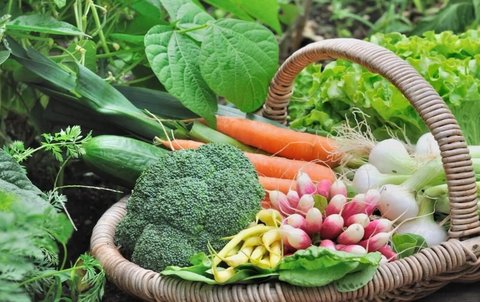 葉酸蔬菜 葉酸蔬菜