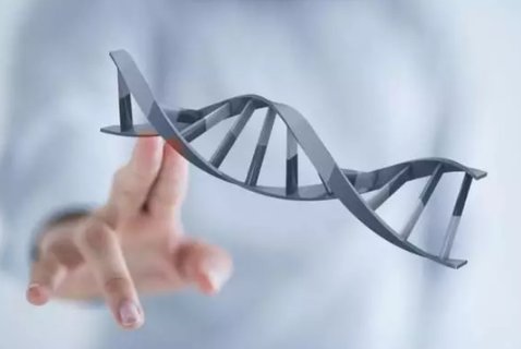 三代試管全知道：費用與成功率一覽