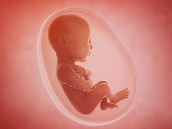 想做三代試管，準備15萬夠嗎？一文給你講清楚