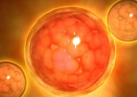 一代和二代試管養囊成功率？養囊成功率的深度解析