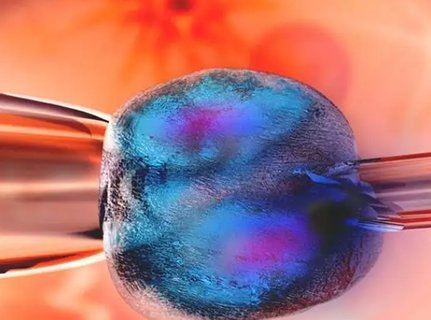 取卵14個為什么一個沒配成功？取卵14個卻未配成功的迷思