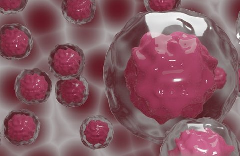 胚胎膠在子宮可以管多久？胚胎膠在子宮內的持續時間