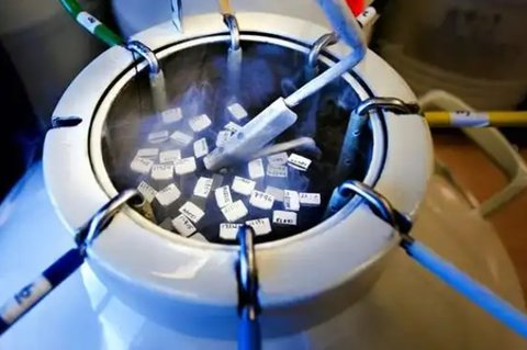 移植使用胚胎膠有影響嗎？移植使用胚胎膠的利弊