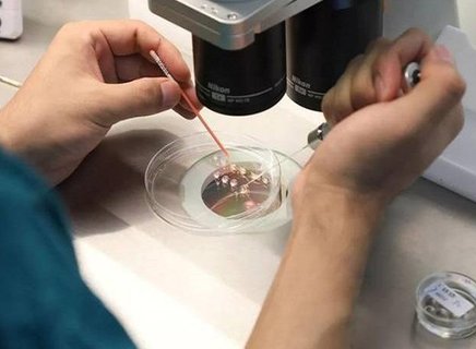 三代試管嬰兒技術！預防遺傳病的科學屏障