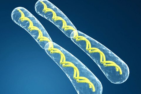 20號染色體偏多孩子還會正常嗎？20號染色體異常的影響