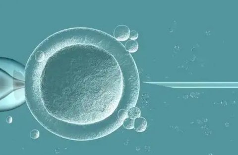 吉林做試管嬰兒要多少錢？三代技術成本與成功率