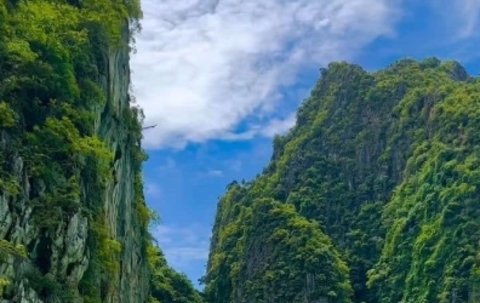 去泰國做試管嬰兒可靠嗎？2025最新赴泰試管分析