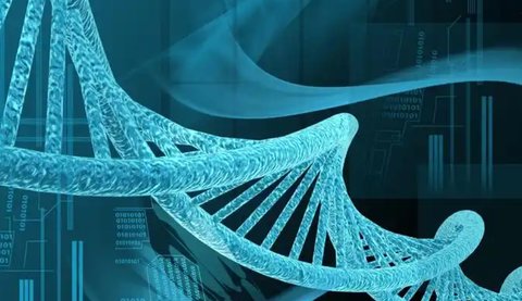 北京做試管一次多少錢？2025北京試管費用解析