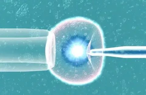 做試管中國好還是泰國好？中國與泰國該如何抉擇？