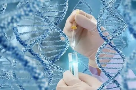 泰國試管嬰兒醫(yī)院如何選擇？泰國試管嬰兒醫(yī)院排名及費用