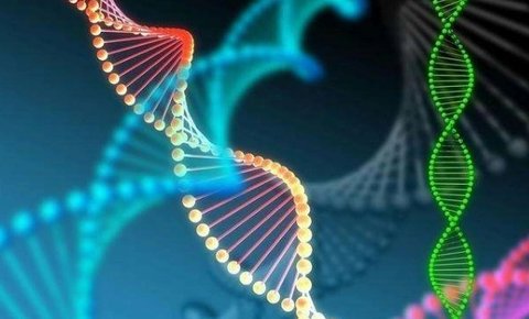 國內做三代試管要多少錢？國內三代試管嬰兒價格2025