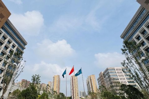 鄭州試管嬰兒成功率高的醫院全解析