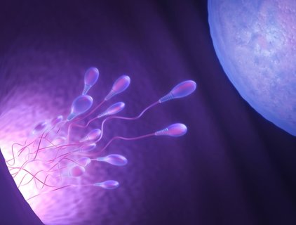 去泰國(guó)做試管靠譜嗎？赴泰試管安全性分析