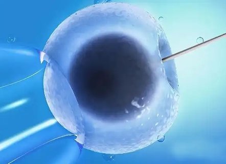 著床成功后內褲會很干凈嗎？揭秘胚胎著床的生理現象