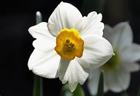 哪些身體異常不用治療？17種身體異常一般不用治療