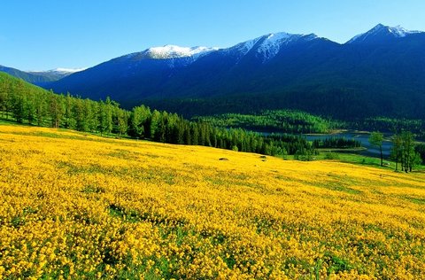 國家免費婦科檢查項目有哪些？全面了解與利用指南