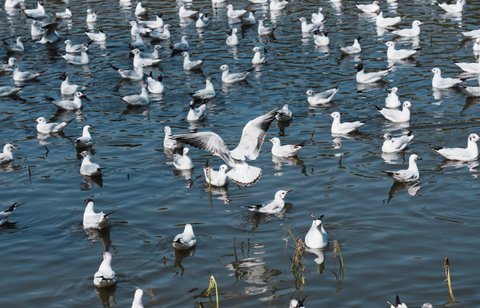 云南做試管哪家醫院好？云南做試管的醫院排名