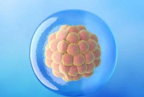 囊胚移植后有什么變化和癥狀？囊胚移植后1到14天變化圖
