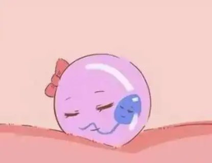 胚泡植入子宮內膜的過程叫什么？著床的關鍵步驟