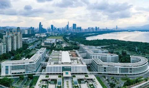 深圳做試管嬰兒需多少錢？助您輕松規劃生育預算