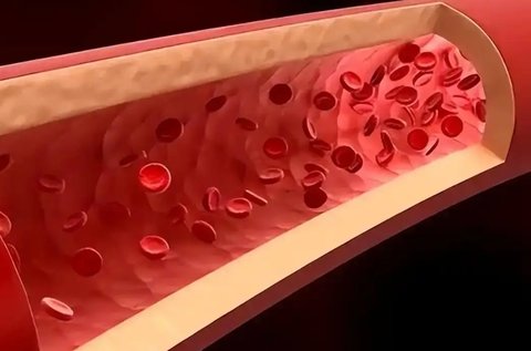 A型血為何被稱為“貴族血”？揭秘背后的真相