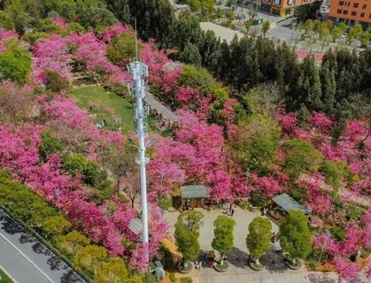 昆明做試管嬰兒需多少錢？助您輕松規劃生育預算