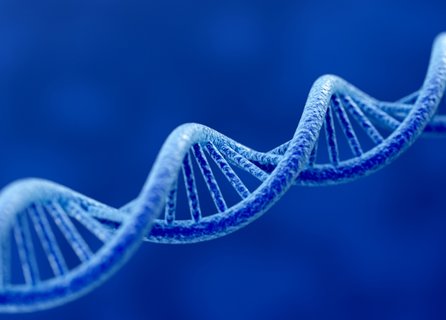 無創DNA國家有補貼嗎？無創DNA國家補貼政策全解析