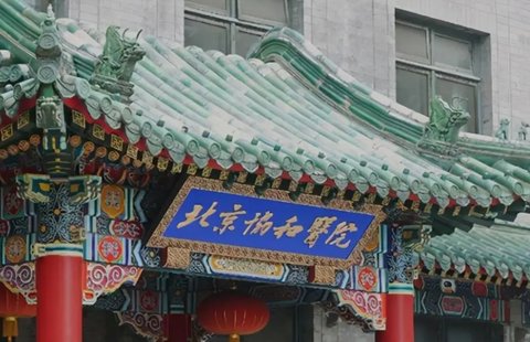 國內(nèi)哪家醫(yī)院試管成功率高？國內(nèi)試管嬰兒成功率醫(yī)院排名