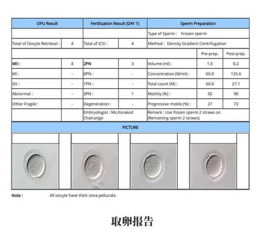 取卵報(bào)告 取卵報(bào)告