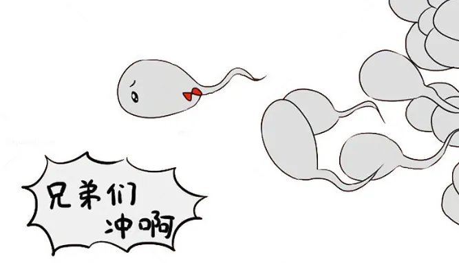 精子DNA碎片率（DFI）高怎么辦？科學備孕與泰國DHC生殖解決方案