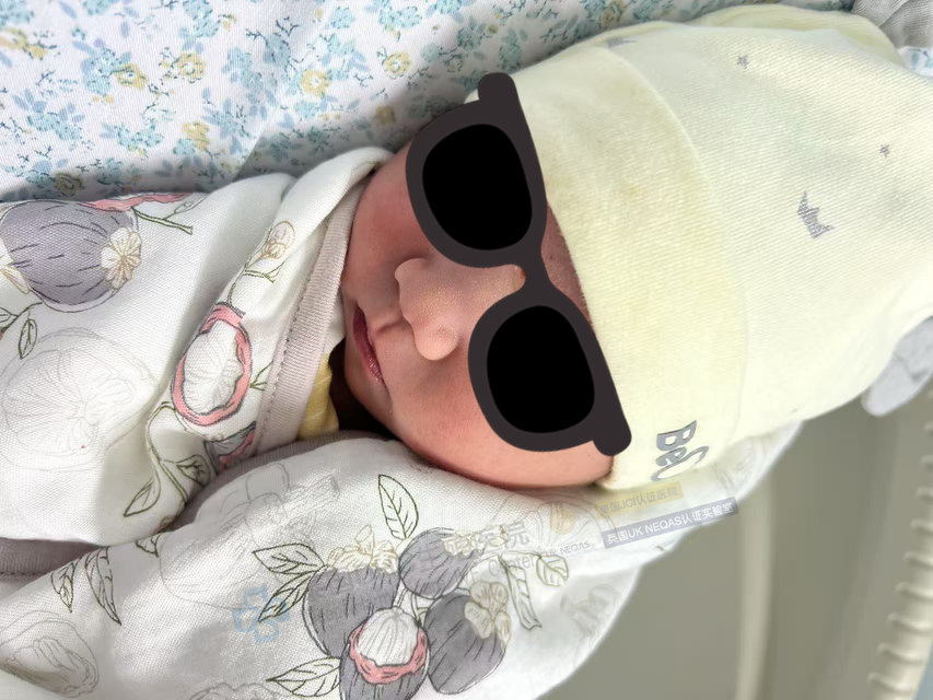 泰國DHC每日好孕播報0721